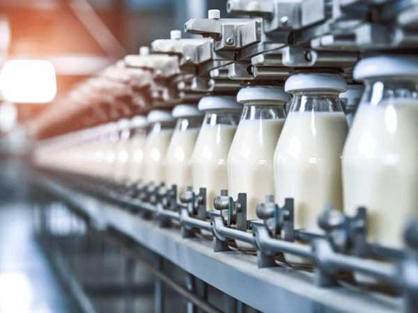 Milk Dairy Plant